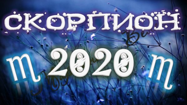 Что ожидает скорпионов в Новом 2020 году