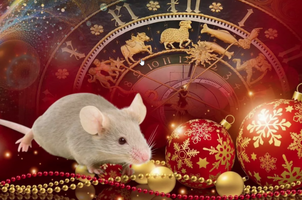 Гороскоп на 2020 год для тех, кто рожден в год Крысы